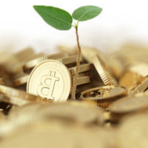 Bitcoin is the best investment of the decade