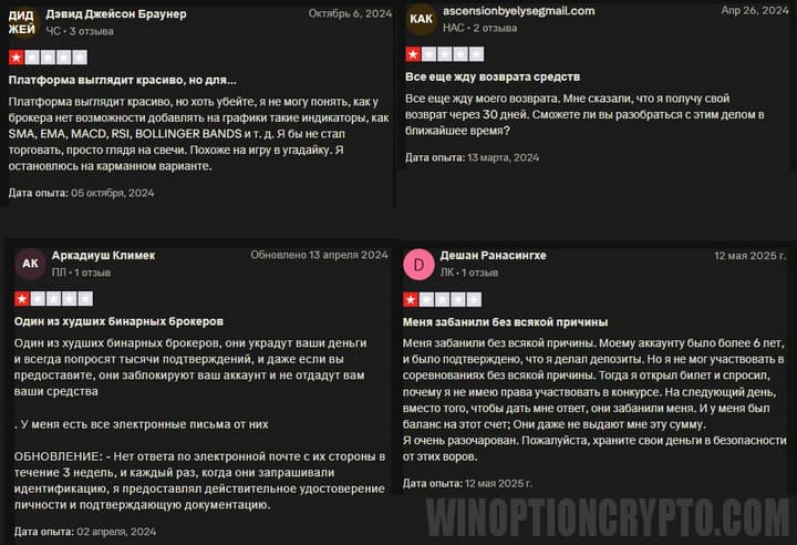 отзывы клиентов