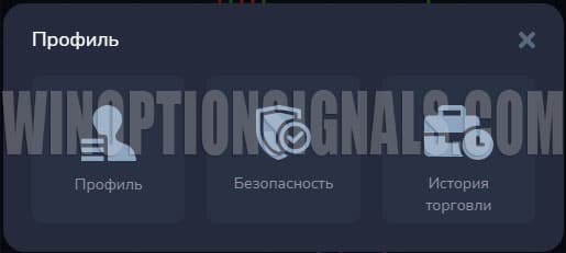 setting up a profile in Forex MT5 from PocketOption