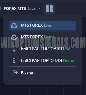 list of accounts in Forex MT5 from PocketOption