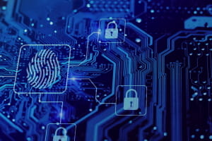 Fingerprint Crypto com chain