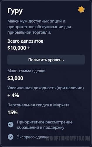 уровень профиля гуру