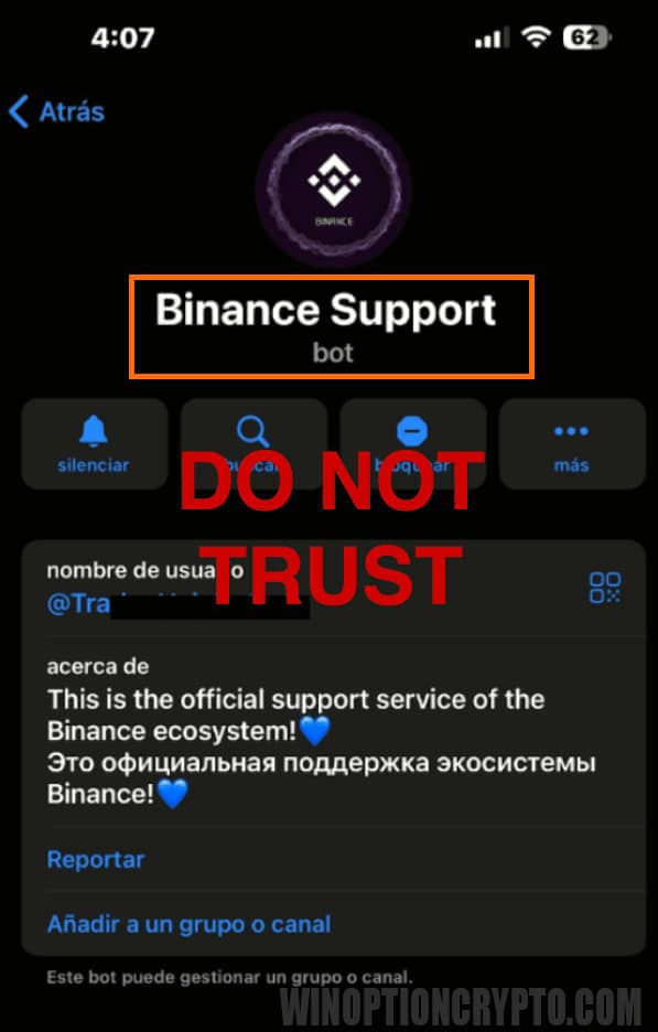 fake binance bot