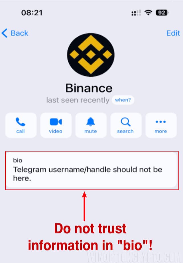 fake binance support