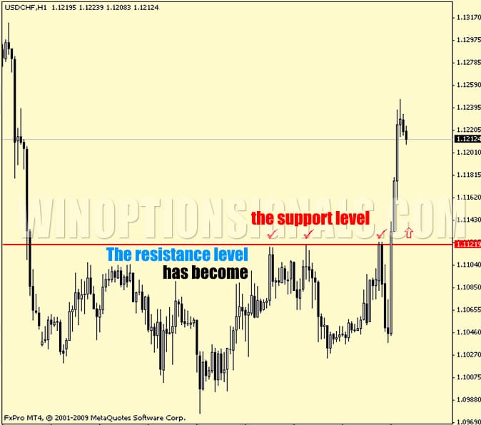 cryptocurrency chart
