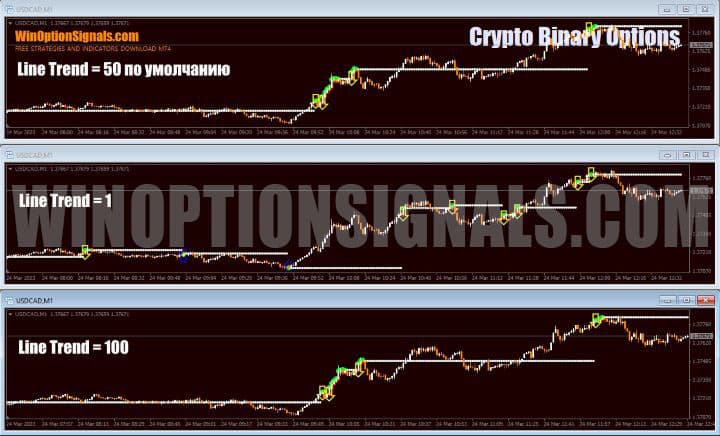 setting up line trend in Crypto Binary Options