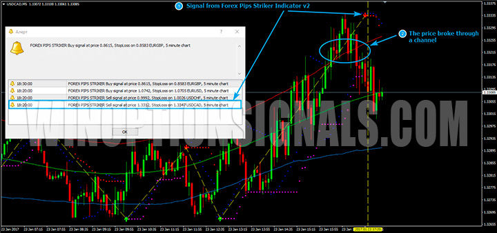 Put signal Forex Pips Striker