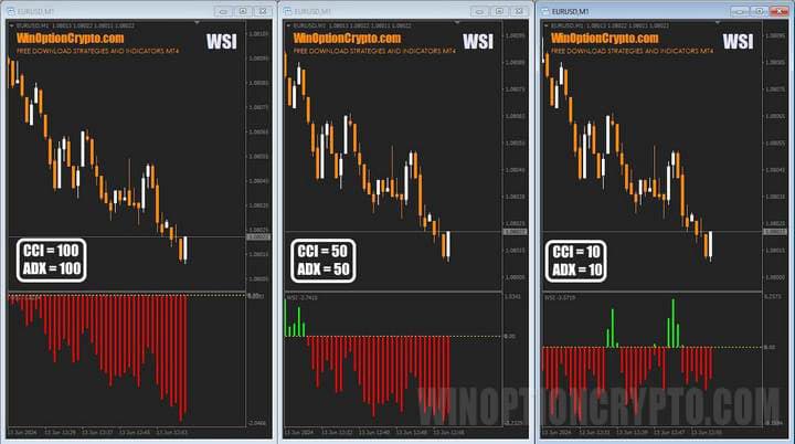 WSI customization options