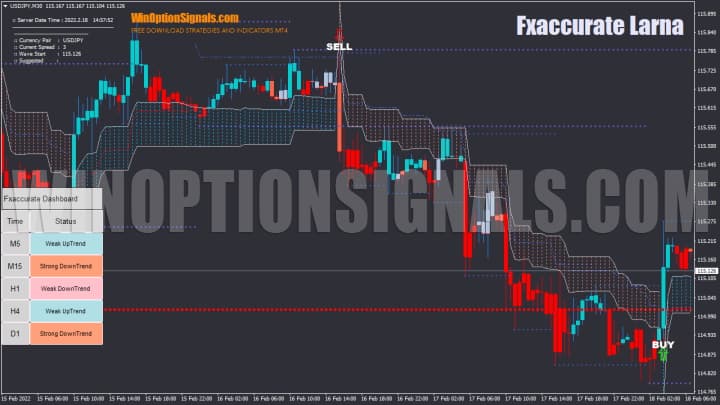 what does the indicator look like