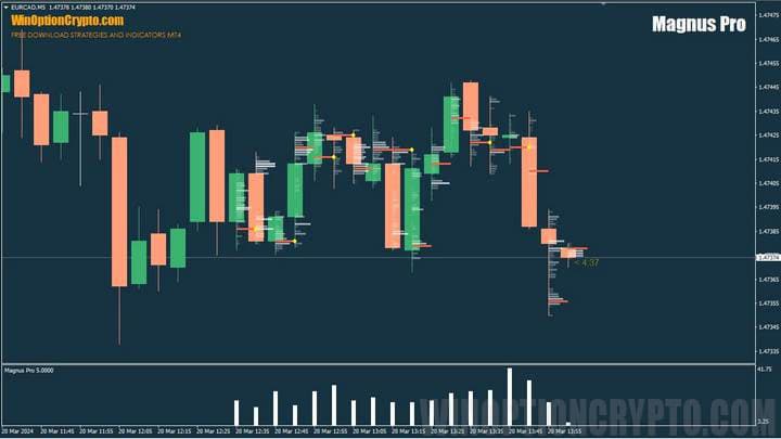 Magnus Pro indicator