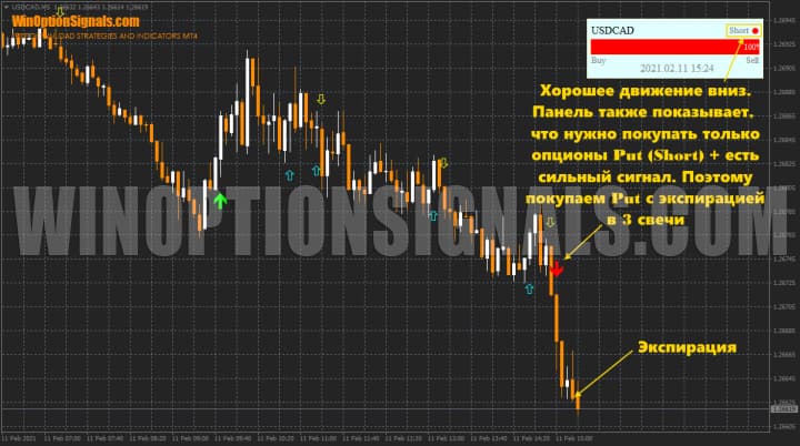 put options with Trade Confirmed Indicator