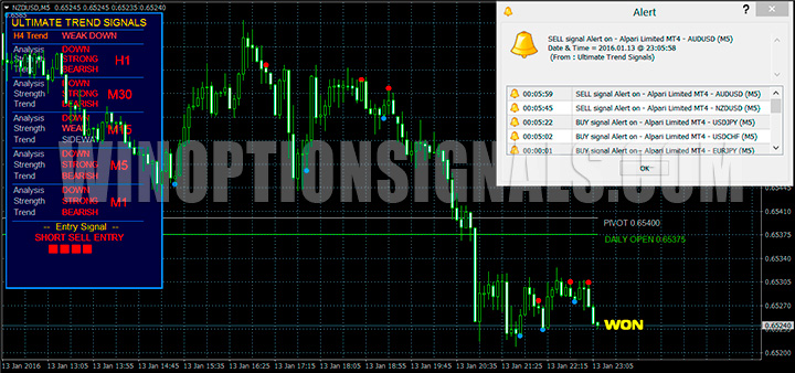 Winning Put trade on the chart