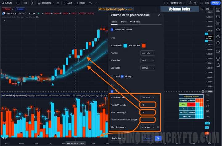 settings in volume delta