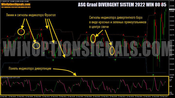 fractal ASG Graal DIVERGENT SYSTEM