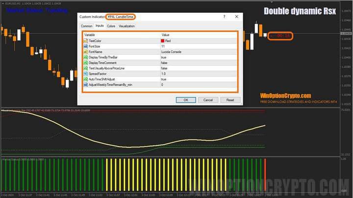 CandleTime settings in Double Dynamic Rsx