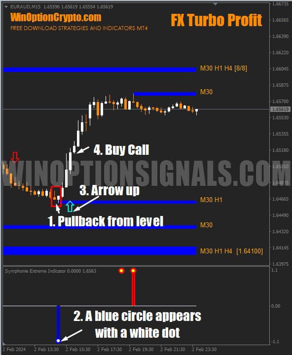 signal to buy a call option in fx turbo profit