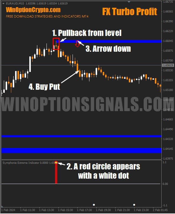signal to buy a put option in fx turbo profit