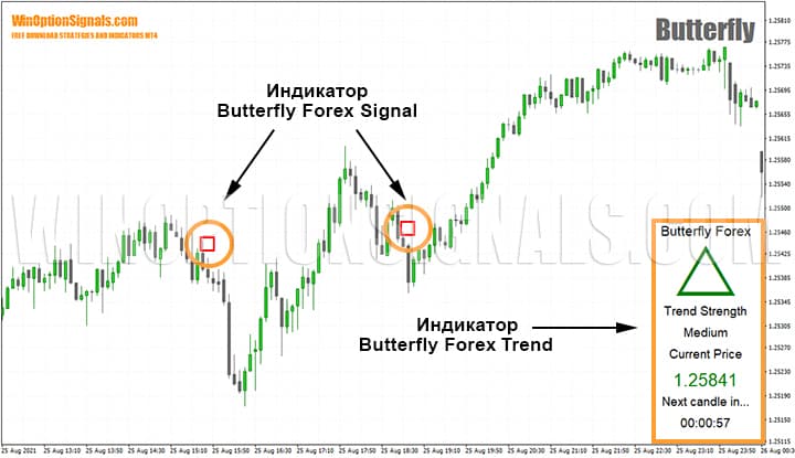 strategy indicators for binary options Butterfly