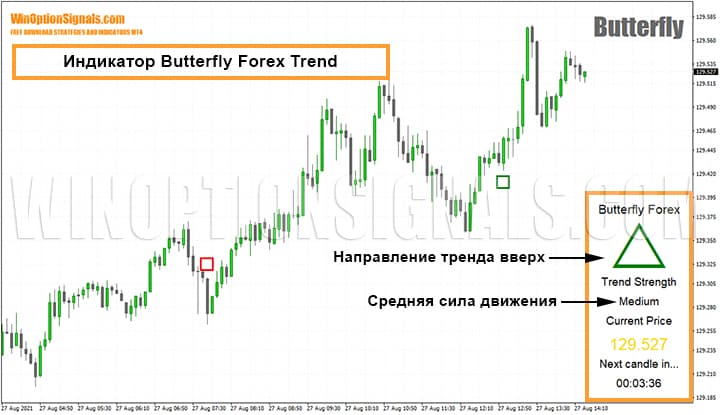 Butterfly Forex Trend Indicator