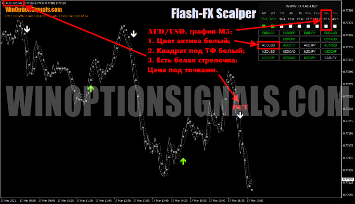 put option in Flash FX Scalper