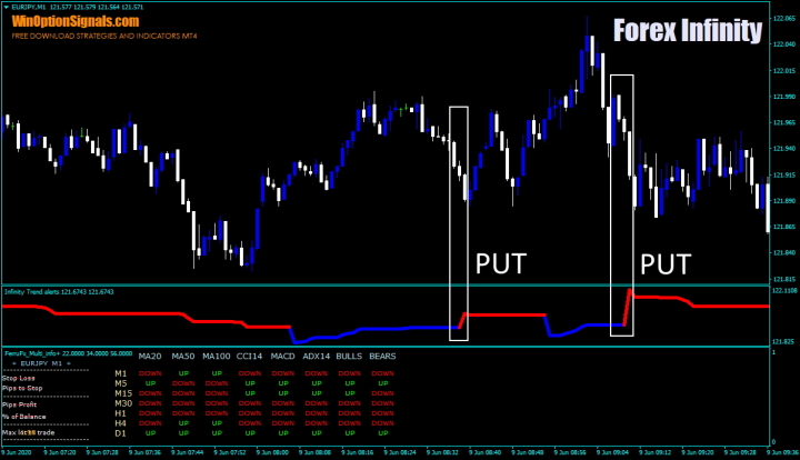 Put options in the Forex Infinity Strategy