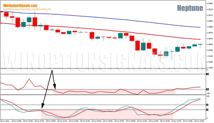 Entry point for the Neptune binary options strategy