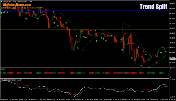 levels on the chart with strategy