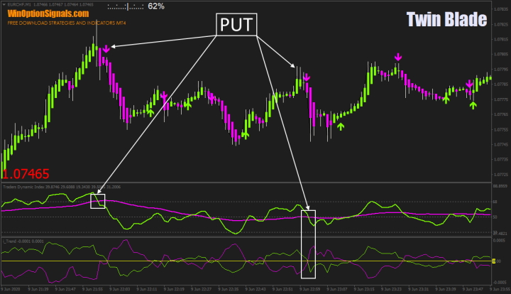 Put options in the Twin Blade strategy