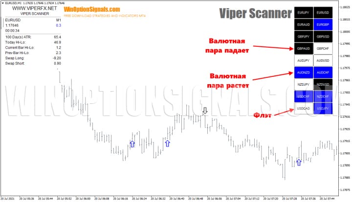 trend in viper scanner strategy for binary options