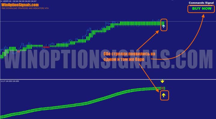 signal in Super Commando Forex