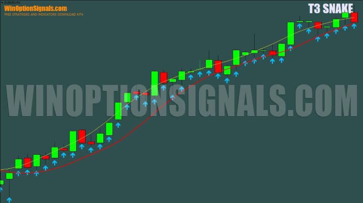 inverse parameter in t3 snake
