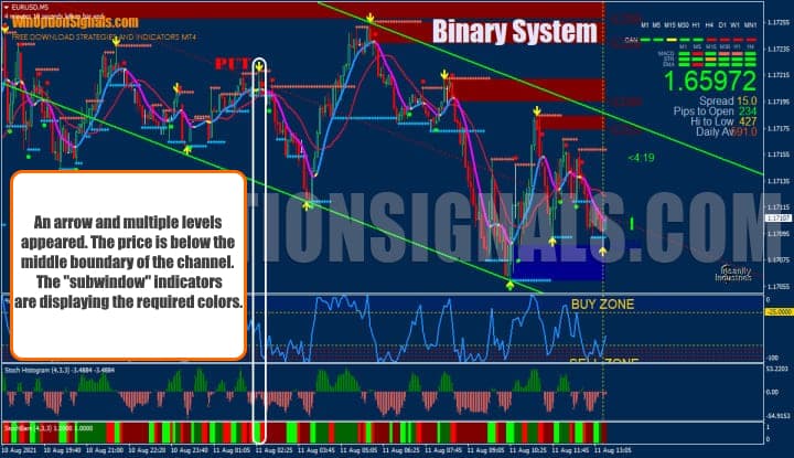 put binary options 5 minutes