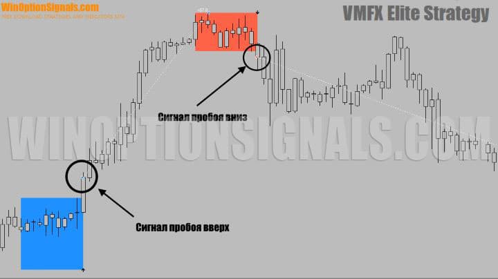 signals for Forex trading in VMFX Elite Strategy